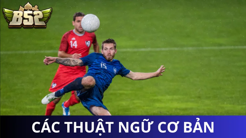 Các thuật ngữ trong các bóng đá cơ bản nhất