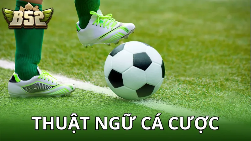 Thuật ngữ trong cá độ bóng đá - Kỹ năng cần có